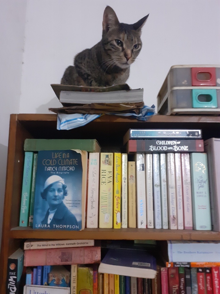 A Brief History of Literary Cats - JSTOR Daily